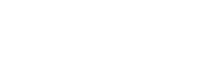 Vector Shape